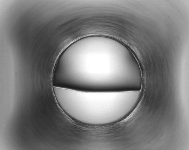 X0000094341529200711021140