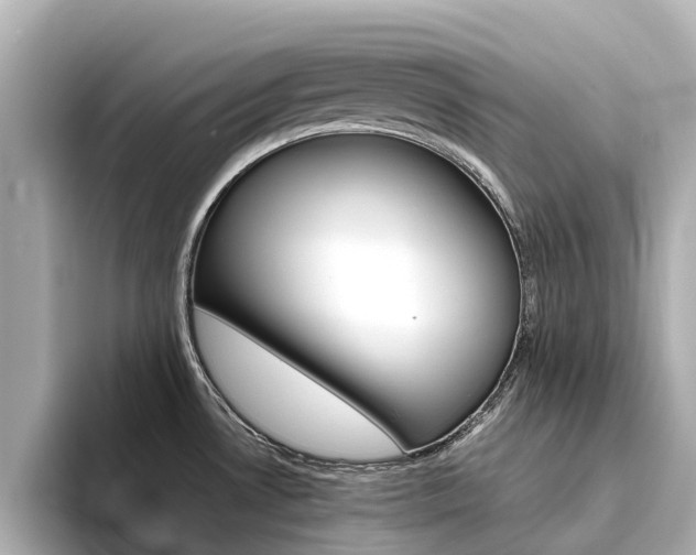 X0000094341530200711021140