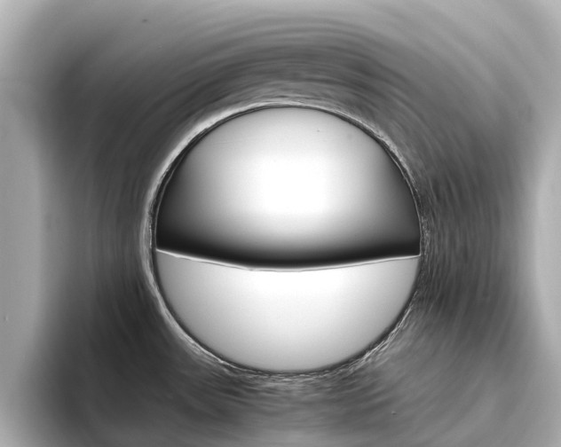 X0000094341531200711021140