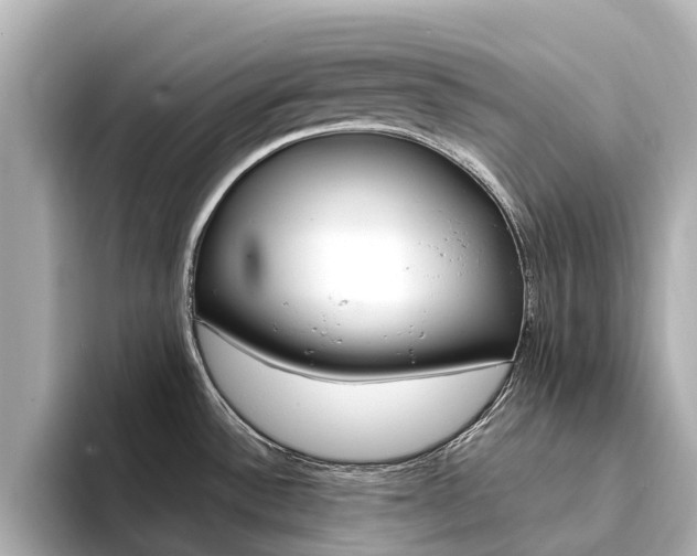 X0000094341532200711021140