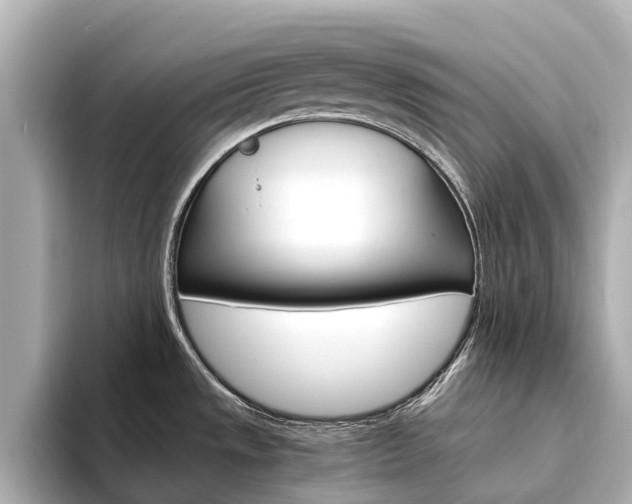 X0000094341533200711021140