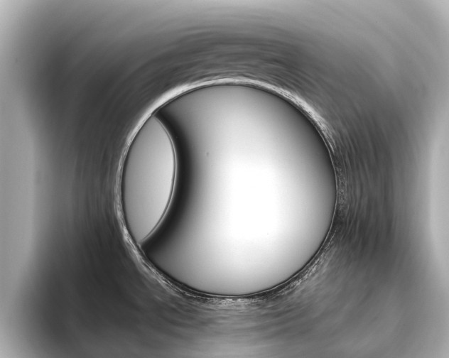 X0000094341534200711021140