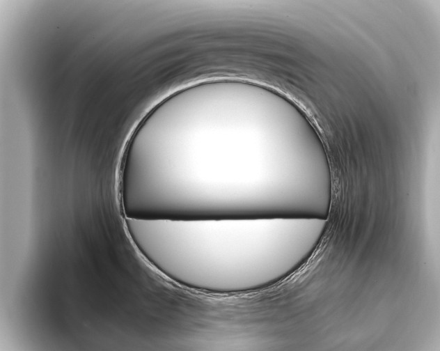 X0000094341535200711021140