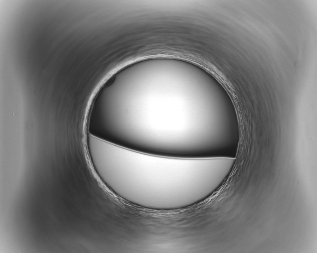 X0000094341536200711021140