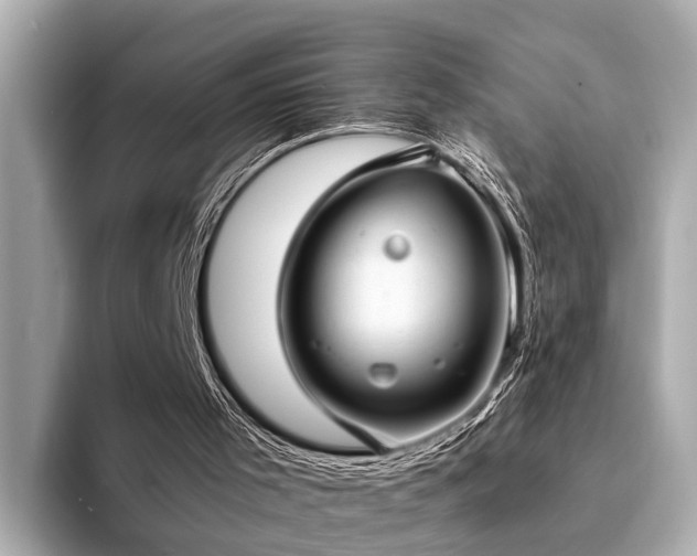X0000094340001200711021459