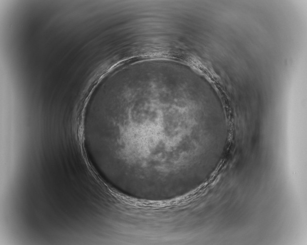 X0000094340002200711021459