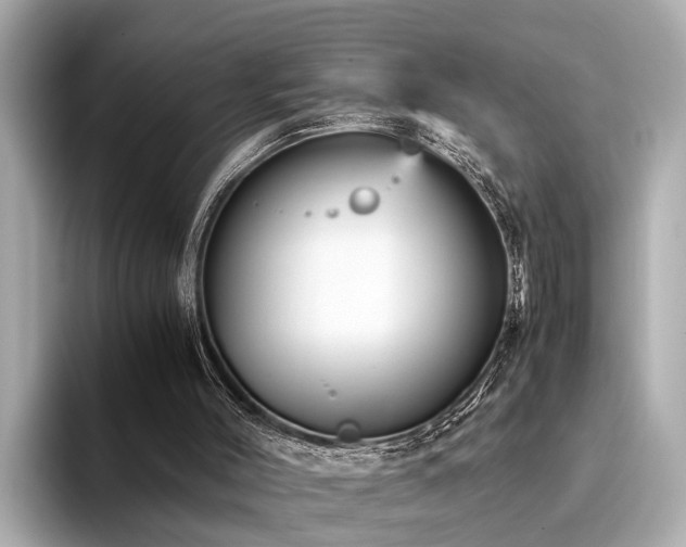 X0000094340004200711021459