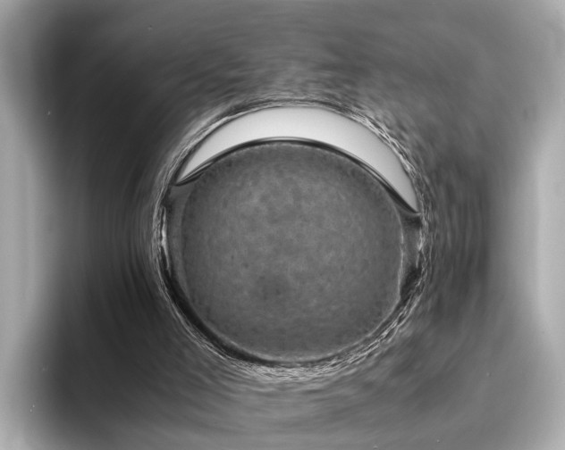 X0000094340005200711021459