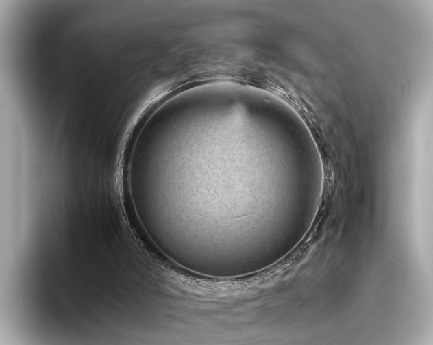 X0000094340006200711021459