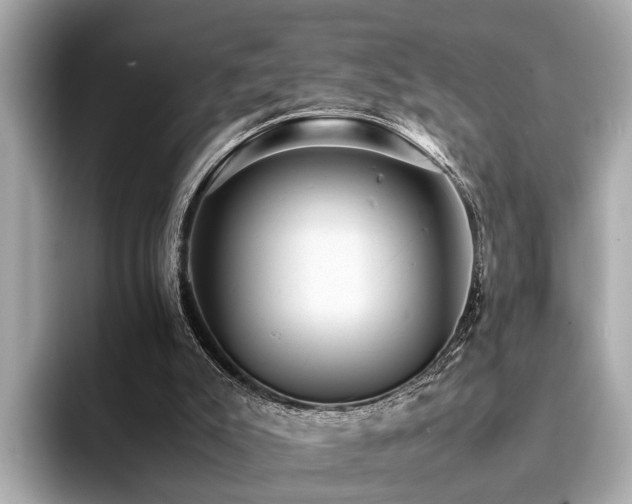 X0000094340007200711021459
