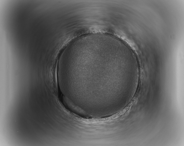 X0000094340009200711021459
