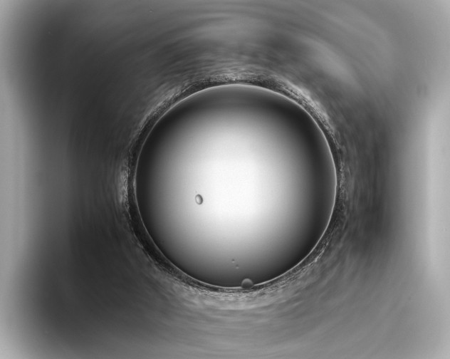 X0000094340010200711021459
