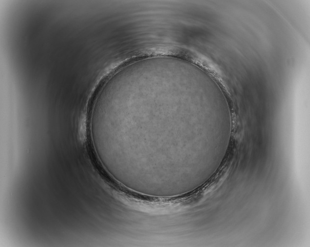 X0000094340012200711021459