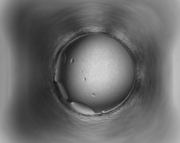 X0000094340014200711021459