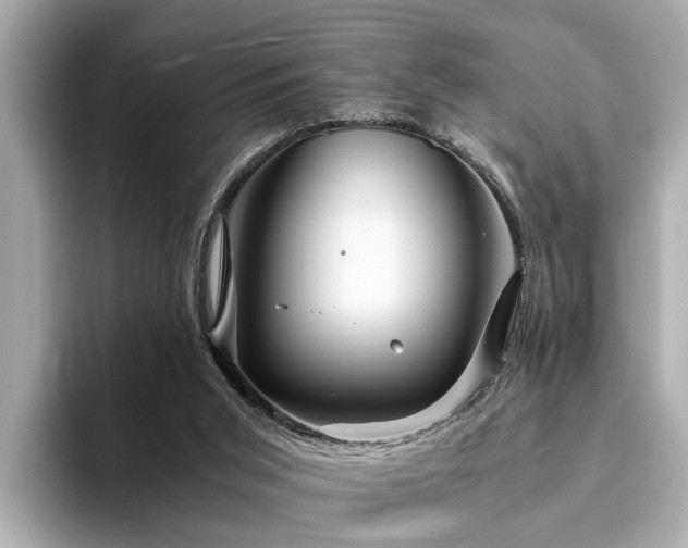X0000094340015200711021459