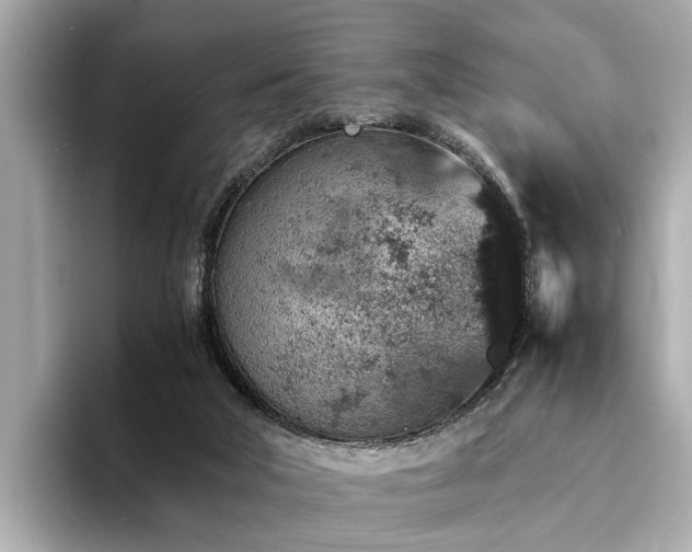 X0000094340018200711021459