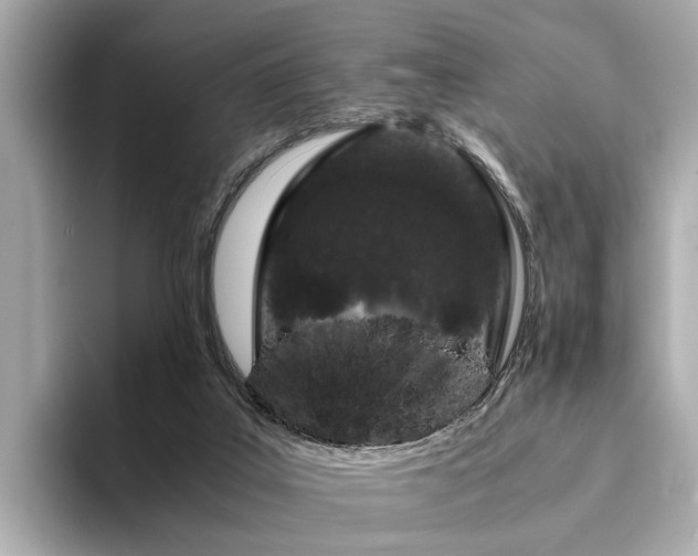 X0000094340019200711021459