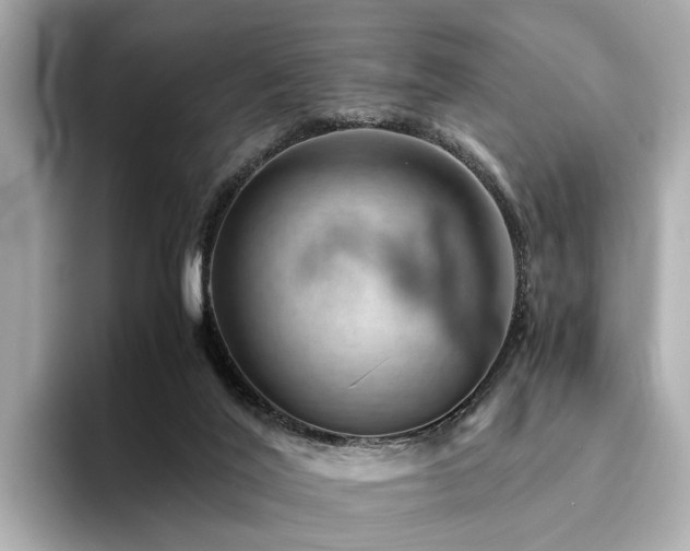 X0000094340020200711021459