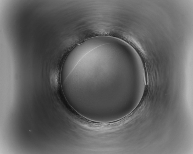 X0000094340023200711021459
