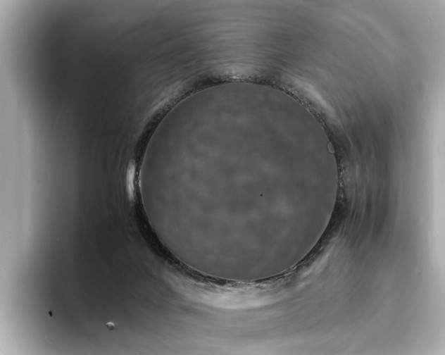 X0000094340024200711021459