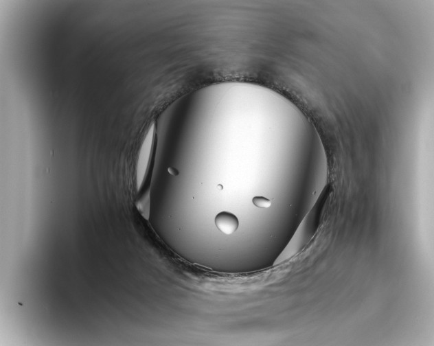 X0000094340025200711021459