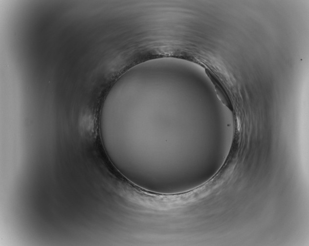 X0000094340031200711021459
