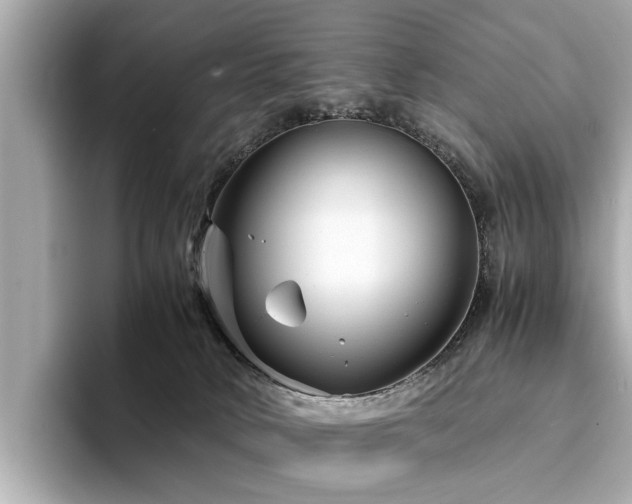 X0000094340034200711021459