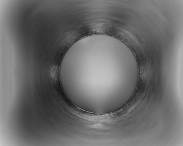 X0000094340036200711021459