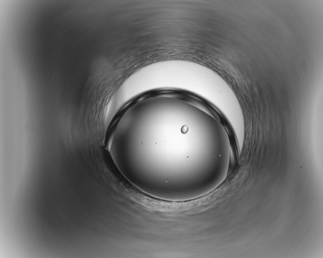 X0000094340039200711021458