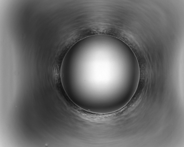 X0000094340040200711021458