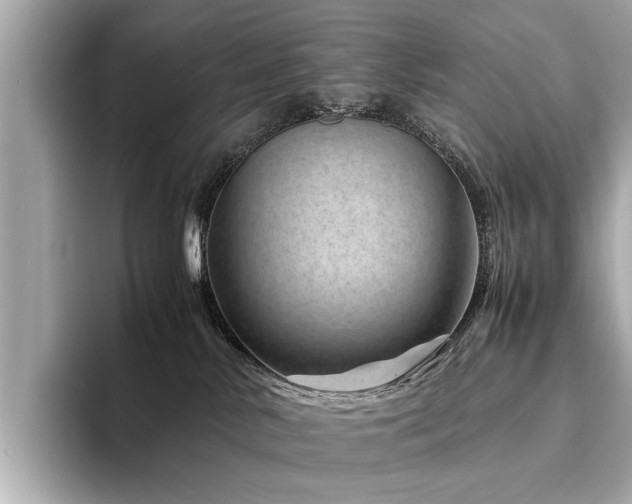 X0000094340042200711021458