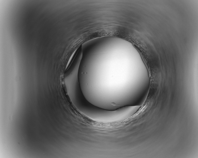 X0000094340045200711021458