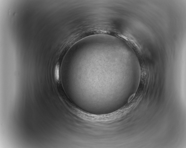 X0000094340046200711021458