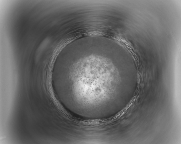 X0000094340049200711021458