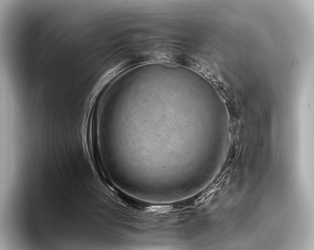 X0000094340051200711021458