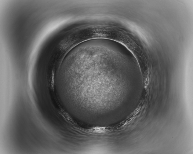 X0000094340052200711021458