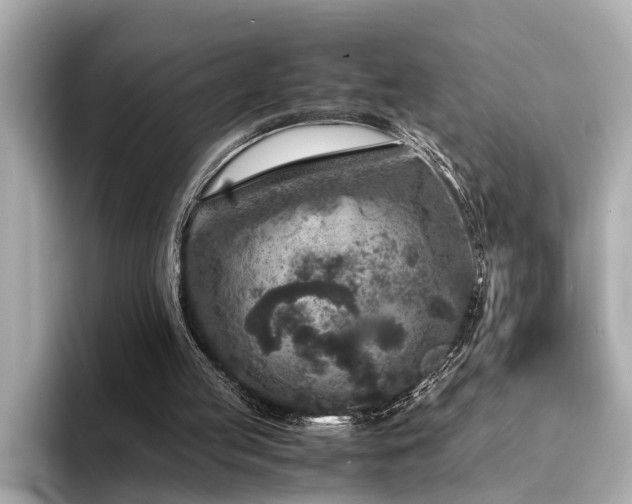 X0000094340053200711021458