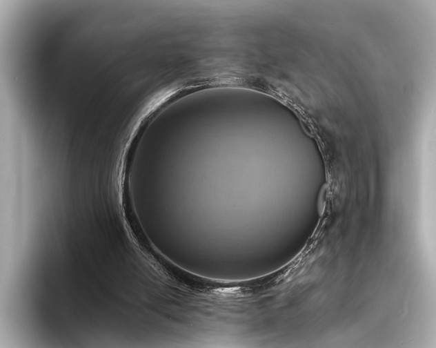 X0000094340054200711021458