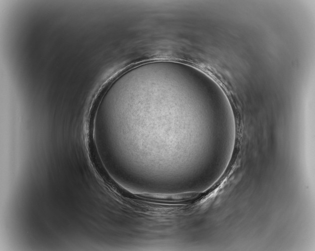 X0000094340055200711021458