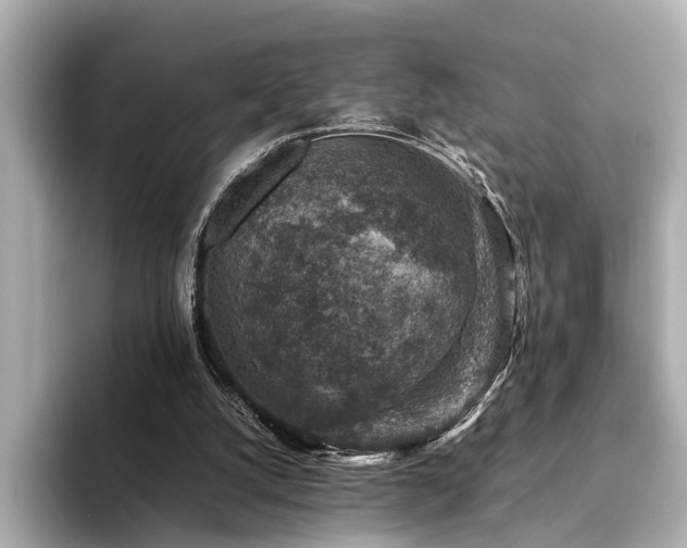 X0000094340056200711021458