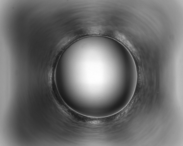 X0000094340058200711021458