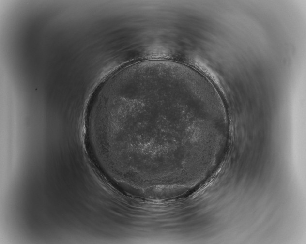 X0000094340059200711021458