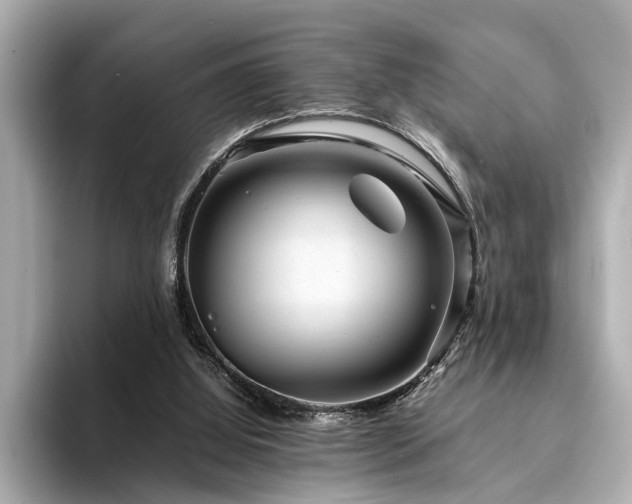 X0000094340060200711021458
