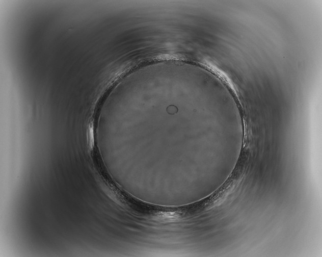 X0000094340061200711021458