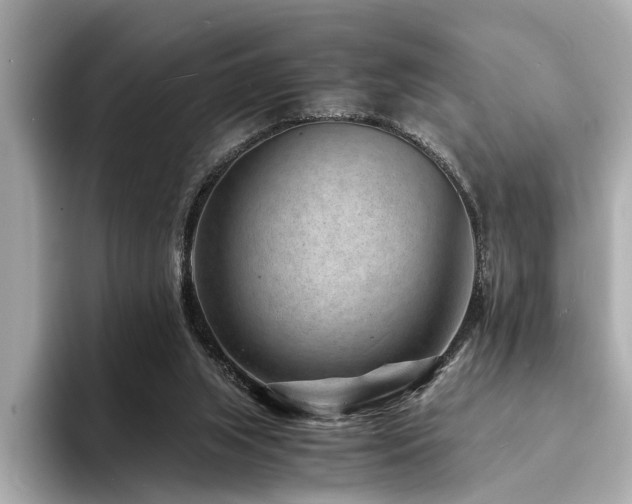 X0000094340063200711021458