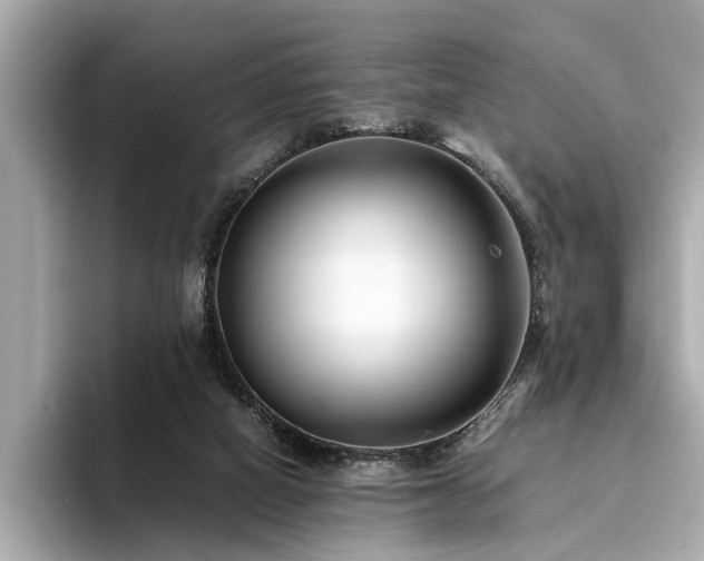 X0000094340066200711021458