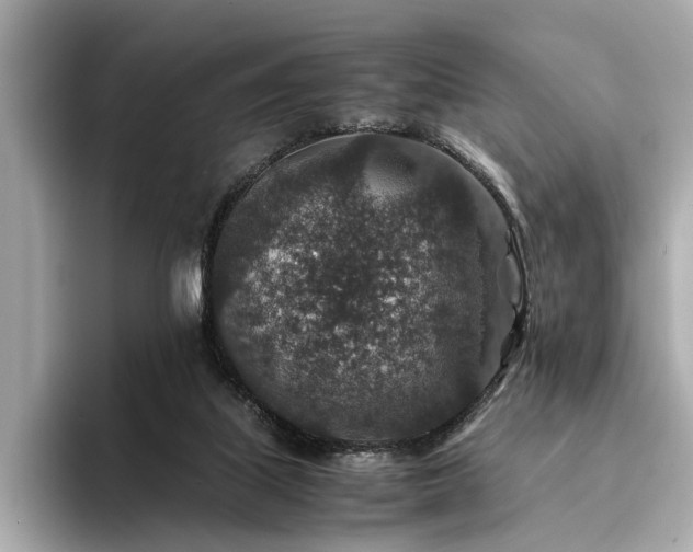X0000094340067200711021458