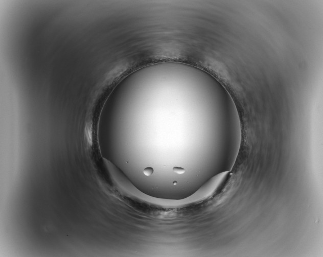 X0000094340068200711021458