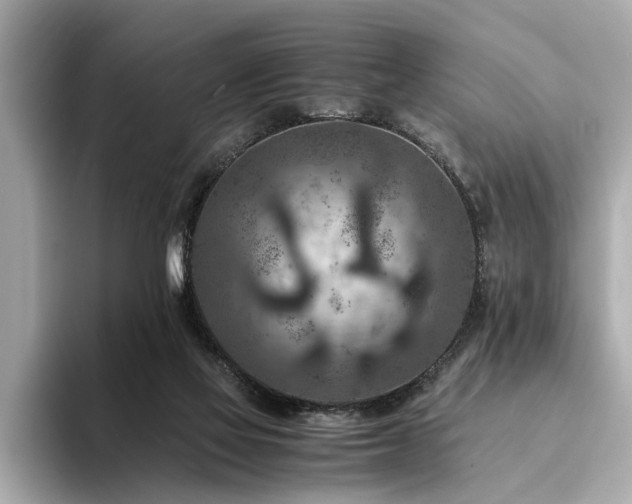 X0000094340069200711021458
