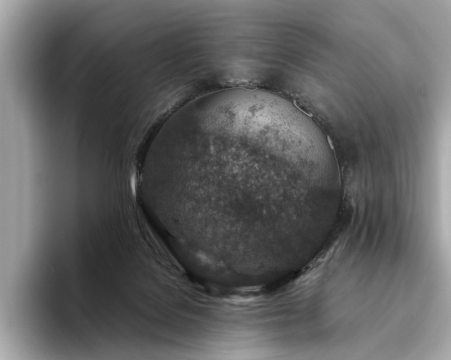 X0000094340076200711021458